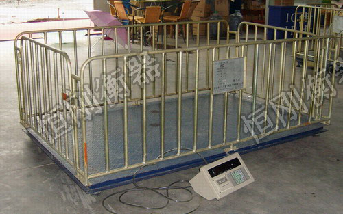 稱(chēng)動(dòng)物電子稱(chēng)