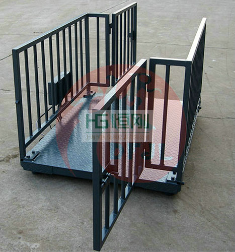 i\